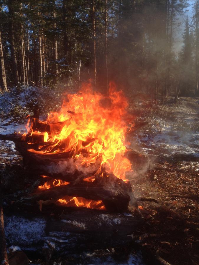 Ranta Aeaerelae Villa Vuotso Eksteriør bilde